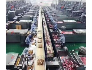 選擇真空包裝機(jī)要關(guān)注哪幾點(diǎn)？